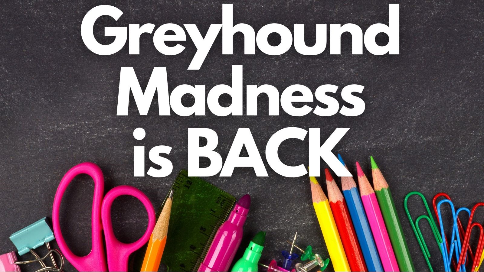 Greyhound Madness is BACK